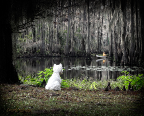 Caddo Lake